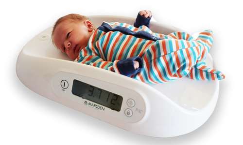 Marsden-M-300-Review