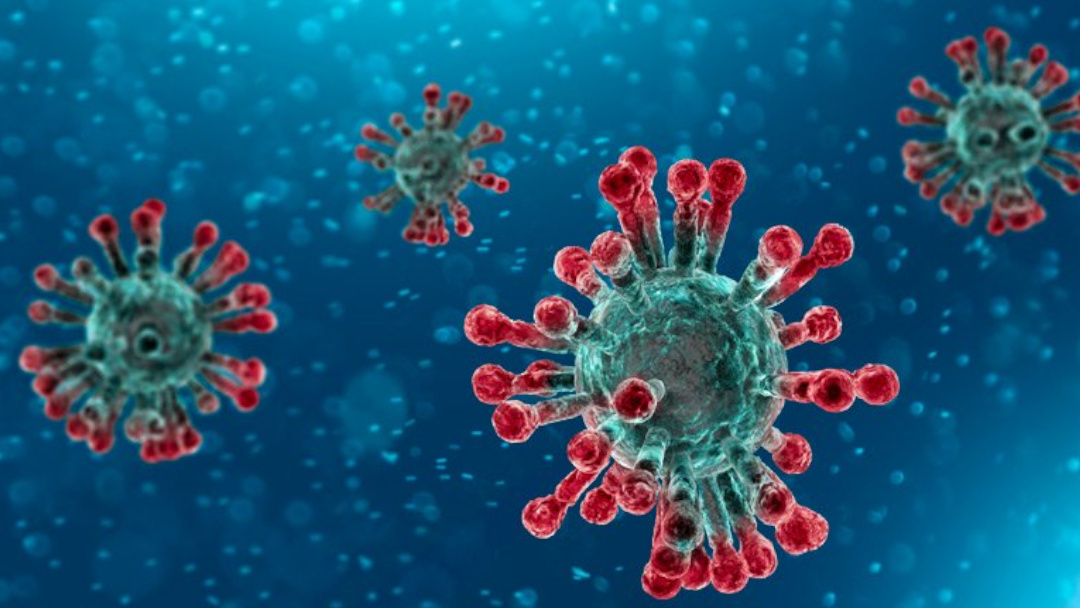 Coronavirus-Advice