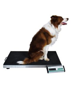 dog scale
